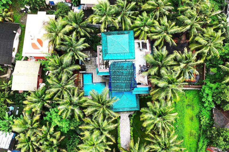 Megh Villa, Alibag: The villa and its palm-shaded grounds from above